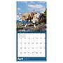 2027 TF Publishing Wolves 12" x 12" Monthly Wall Calendar, Multicolored (27-1035)~#|#~A5D0D5D8-D0F8-4E56-A3B399975FE30D9B_sc7