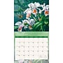 2027 BrownTrout Hummingbirds 14" x 12" Monthly Wall Calendar, Assorted Colors (9798330716029)~#|#~A5E3567F-FA18-4F1A-BC8C07EDFF8289C7_sc7