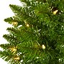 Nearly Natural 2-ft. Providence Pine Pre-Lit Artificial Christmas Tree, 35 Lights (T1561)~#|#~A5F3745C-EC1F-436B-A7E93A14518553F0_sc7