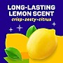 Mr. Clean Antibacterial Multi-Surface Cleaner, Lemon Scent, 64 Fl. oz. (11290)~#|#~A614DC4D-A4A9-491F-ADAF3AD01AEEC90E_sc7
