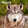2026 BrownTrout Wolves 12" x 12" Monthly Wall Calendar (9798330706402)~#|#~A62AB28C-6DEC-45A8-926CA0CBDACF23A9_sc7
