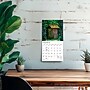 2027 BrownTrout Outhouses 7" x 7" Monthly Wall Calendar (9798330709595)~#|#~A62DC428-C534-4200-8104A64EA822BF36_sc7