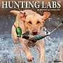 2027 Willow Creek Hunting Labs  12" x 12" Monthly Wall Calendar (60742)~#|#~A632A0D8-A72E-45BB-B7A1B0E6D4855DCA_sc7