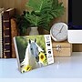 2027 Willow Creek What Horses Teach Us 5.4" x 6.2" Day-to-Day Calendar (63842)~#|#~A6442361-6D99-4BE0-BD0D5DEF4F651A2B_sc7