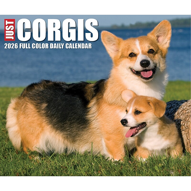 2026 Willow Creek Corgis 6.2" x 5.4" Day-to-Day Calendar (54079) image 1