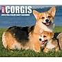 2026 Willow Creek Corgis 6.2" x 5.4" Day-to-Day Calendar (54079)~#|#~A653320B-9AD1-4398-8D023500831480F2_sc7