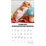 2026 Willow Creek Hamsters 12" x 12" Monthly Wall Calendar (57025)~#|#~A65630A7-4512-4D06-820812B638D85BB5_sc7