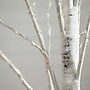 Nearly Natural 6-ft Pre-Lit Artificial White Birch Tree with 300 Warm White LED Lights (T4910)~#|#~A6593ADA-E7F6-43A8-927CACA84291A03F_sc7