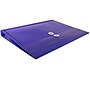 JAM Paper Premium Plastic Document File, Letter, Purple, 3/Pack (218B1PUX3)~#|#~A659DD63-7145-479E-ACF372FEF4D794D6_sc7