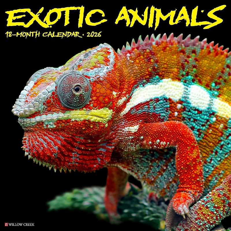 2026 Willow Creek Exotic Animals 12" x 12" Monthly Wall Calendar (55779X) image 1