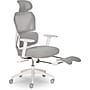Sharper Image S-850 Heated Ergonomic Mesh Swivel Executive Massage Chair with Footrest, Light Gray/White (60106-LGRYWHT)~#|#~A669EC5D-D79E-4B01-901A3D8C532672C2_sc7
