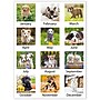 2026 AT-A-GLANCE Puppies 21.75" x 17" Monthly Desk Pad Calendar (DMD166-32-26)~#|#~A66D2272-7493-4D64-B87A5758B8D5749D_sc7