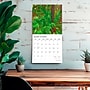 2026 Plato America the Beautiful 12" x 12" Monthly Wall Calendar (9798330706600)~#|#~A68113D7-798B-451B-819E8E16988D4736_sc7