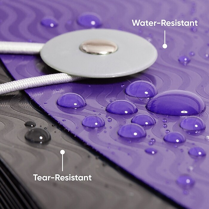 Smead Heavy Duty Plastic Accordion File, MultipleIndex, 12 Pocket