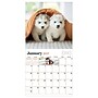 2027 TF Publishing Puppies 11" x 11" Monthly Wall Calendar, Multicolored (27-1025)~#|#~A6B21903-F4A8-4A83-939F0E6B73B8B5BB_sc7