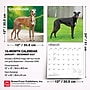 2027 BrownTrout Greyhounds 12" x 12" Monthly Wall Calendar (9798330712502)~#|#~A6C78A82-CD35-4194-98FED74265922FCC_sc7