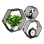 Mind Reader 3-Shelf Metal Honeycomb Hexagon Floating Shelves, Black, 3/Set (WALL3PC-BLK)~#|#~A7094B3F-A824-478F-85F78ADDE1EC5E70_sc7