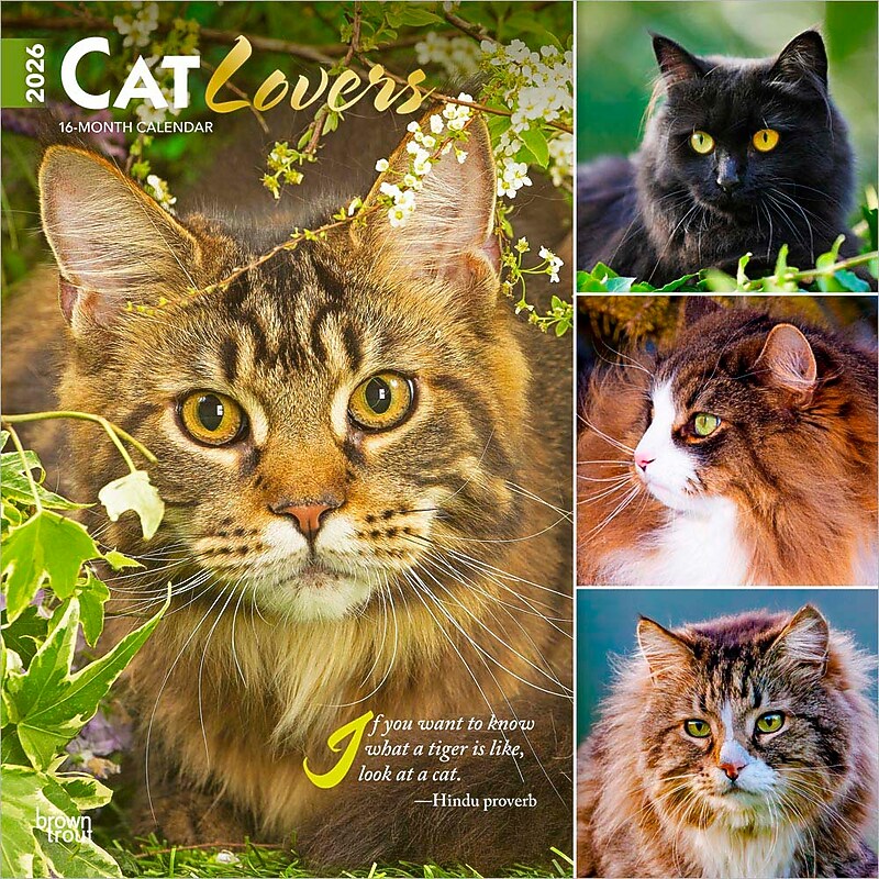 2026 BrownTrout Cat Lovers 12" x 12" Monthly Wall Calendar (9798330702787) image 1
