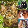 2026 BrownTrout Cat Lovers 12" x 12" Monthly Wall Calendar (9798330702787)~#|#~A74CC436-1E5E-4369-86E1A55D52927257_sc7