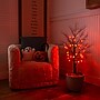 Nearly Natural Pre-Lit Artificial Halloween Black Twig Tree, 3' (T5360)~#|#~A74D3185-DE5E-40D3-9488A6276334479E_sc7