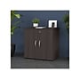 Bush Business Furniture Studio C 30" Storage Cabinet with 2 Shelves, Storm Gray (SCS130SG)~#|#~A75C8922-23D2-420E-8202B6FFF254D92F_sc7