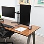 Mind Reader Freestanding Dual Monitor Desk Mount, Black (DARB-BLK)~#|#~A76DAF17-F1E3-46BD-85B2580806FE0137_sc7