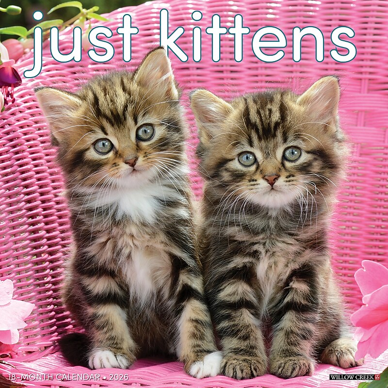 2026 Willow Creek Kittens 12" x 12" Monthly Wall Calendar (51696X) image 1