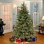 National Tree Company Frasier Grande Artificial Christmas Trees (PEFG4-308D-65)~#|#~A78CEF60-6781-4C8B-8EAF943010260F36_sc7