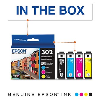 Epson T302 Photo Black/Cyan/Magenta/Yellow Standard Yield Ink Cartridge, 4/Pack (T302520-S)