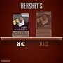 Hershey's Nuggets Assorted Chocolate Candy Party Pack, 26 oz. (HEC01878)~#|#~A79F752A-D06F-4933-90F27CFE9A5ED952_sc7