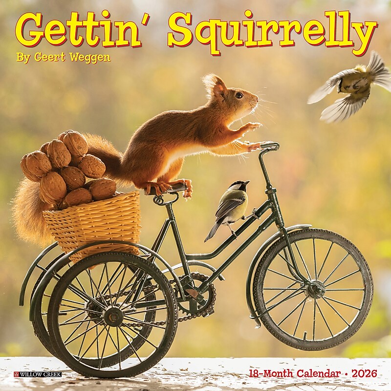 2026 Willow Creek Gettin' Squirrelly 7" x 7" Monthly Wall Calendar (53591) image 1