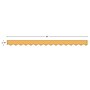 Teacher Created Resources Border Trim, 2.19" x 2.92', Golden Sun Scalloped, 12/Pack, 6 Packs/Bundle (TCR9243-6)~#|#~A7A9D116-F3FE-435A-BDCA63850C120689_sc7