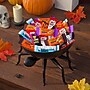 Hershey's Snack Size Assorted Flavored Chocolate Variety Bag, 17.28 oz., 30 Pieces (HEC45891)~#|#~A7ABC3C8-CBFC-4D22-9ADB9A29589AC5DC_sc7