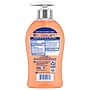 Softsoap Antibacterial Liquid Hand Soap, Crisp Clean Scent, 6/Carton (US03562)~#|#~A7D78785-98BE-4D53-A89D756A55C13383_sc7