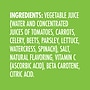 V8 Original Vegetable Juice, 11.5 oz, 24/Pack (900-00092)~#|#~A7D9459D-55BC-45B4-B49A77DC1EDE6B7B_sc7
