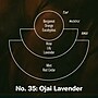 P.F. Candle Co. Ojai Lavender Soy Candle, 7.2oz (SC35)~#|#~A7FDED4D-02A6-4791-836BA32E2CD5195A_sc7