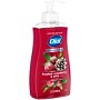 Dial Antibacterial Limited Edition Liquid Hand Soap, Frosted Cranberry & Pine Scent,  11 oz. (1700035953)~#|#~A802EA7F-41FA-4091-93FDB5683C33CB0A_sc7