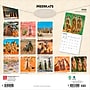 2026 BrownTrout Meerkats 12" x 12" Monthly Wall Calendar (9798330704545)~#|#~A80F416E-7C04-4FCA-90B0651C52A7CAD4_sc7