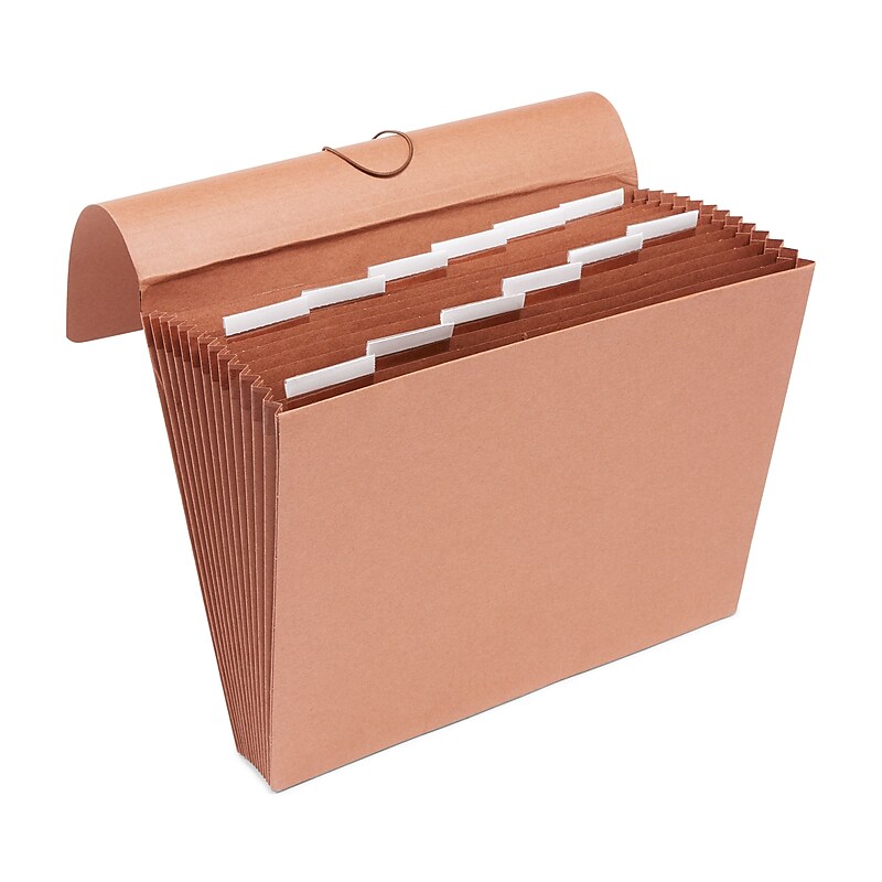 Staples Letha-Tone Expanding File, Blank Index, Letter Size, 13-Pocket, Brown (20036S) image 1