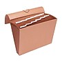 Staples Letha-Tone Expanding File, Blank Index, Letter Size, 13-Pocket, Brown (20036S)~#|#~A815CD96-64E9-4A1E-A4D1C1FBE427FAD1_sc7