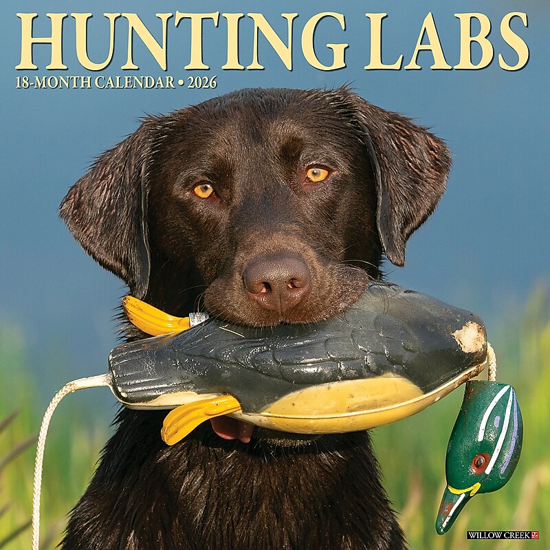 2026 Willow Creek Hunting Labs 12" x 12" Monthly Wall Calendar (55458) image 1