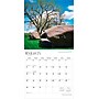 2026 BrownTrout Minnesota Wild & Scenic 12" x 12" Monthly Wall Calendar (9798330704606)~#|#~A825FB54-BF1B-44F5-96A3DAB6DB576382_sc7