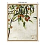 Amanti Art Kumquat Tree by Jodi Maas Framed Canvas Wall Art Print, 23" x 28" (A42677747772)~#|#~A82C7B71-8791-44C7-95BB55B0581006EB_sc7