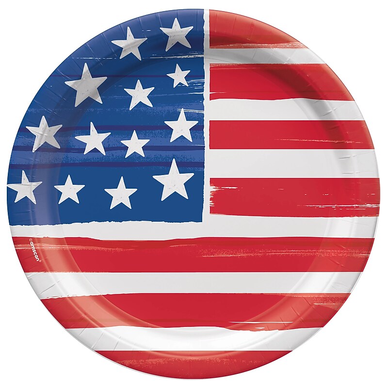 Party City Painted Patriotic 9" Paper Plates, Multicolored, 8 Plates/Pack (AM5503079) image 1