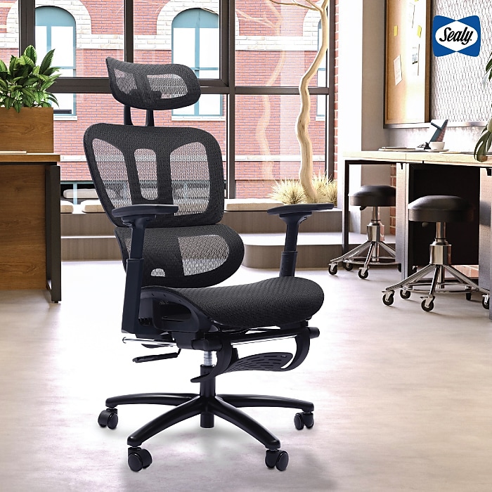 Sealy Astra Ergonomic Mesh Swivel Executive Chair, Black