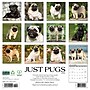 2026 Willow Creek Pugs 12" x 12" Monthly Wall Calendar (52501)~#|#~A84673A7-3551-4C97-9B193207CEB8E421_sc7