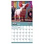 2027 TF Publishing Playful Pigs 11" x 12" Monthly Wall Calendar, Multicolored (27-1023)~#|#~A859B100-E8EE-4976-95C1C0D5BAE0E12D_sc7