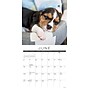 2027 Willow Creek Naptime: Dogs & Puppies on their Best Behavior 12" x 12" Monthly Wall Calendar (61411)~#|#~A85A968E-AE2A-48C1-ABA6D12F8A4B1768_sc7