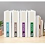 Avery 3" 3-Ring View Binders, White (5741)~#|#~A85DBE5C-A05A-49A3-A5BAABD4402E67BD_sc7