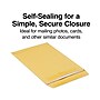 Staples Self Seal Kraft Catalog Envelopes, 7.5"L x 10.5"H, Brown, 100/Box (534792/17105)~#|#~A86B21ED-0896-4E39-BB663E073DE71C05_sc7